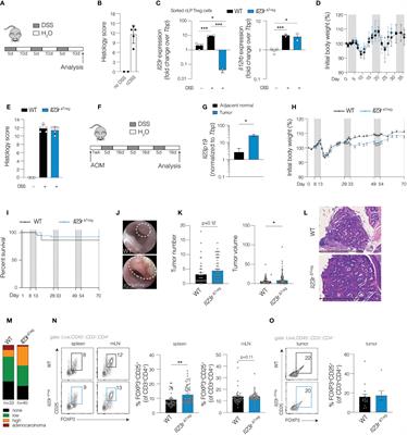 Distinct roles for interleukin-23 receptor signaling in regulatory T cells in sporadic and inflammation-associated carcinogenesis